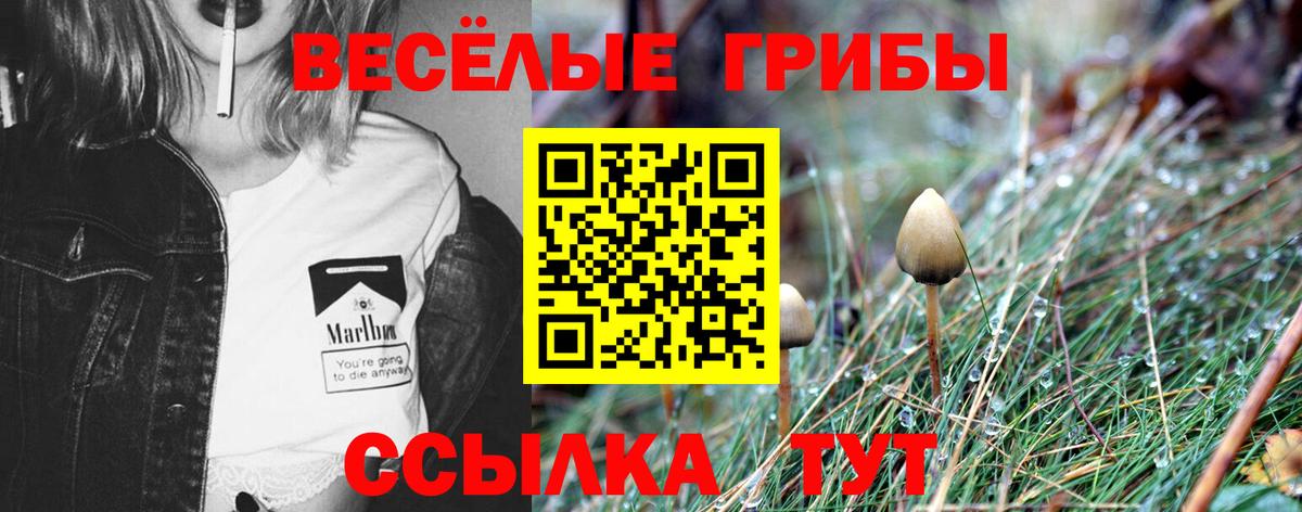 Галлюциногенные грибы ЛСД  Вход с VPN  Зерноград 