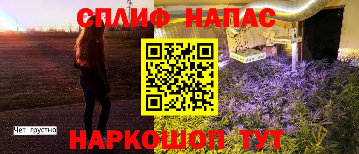 Бошки Шишки конопля  Вход с VPN  Бошки Шишки сатива  Каннабис тримм  Зерноград  МАРИХУАНА Bruce Banner 